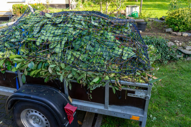 Best Recycling Services for Junk  in Meridian, MS